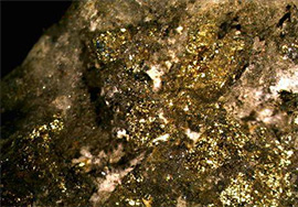 Línea de Beneficios de Minerales de oro